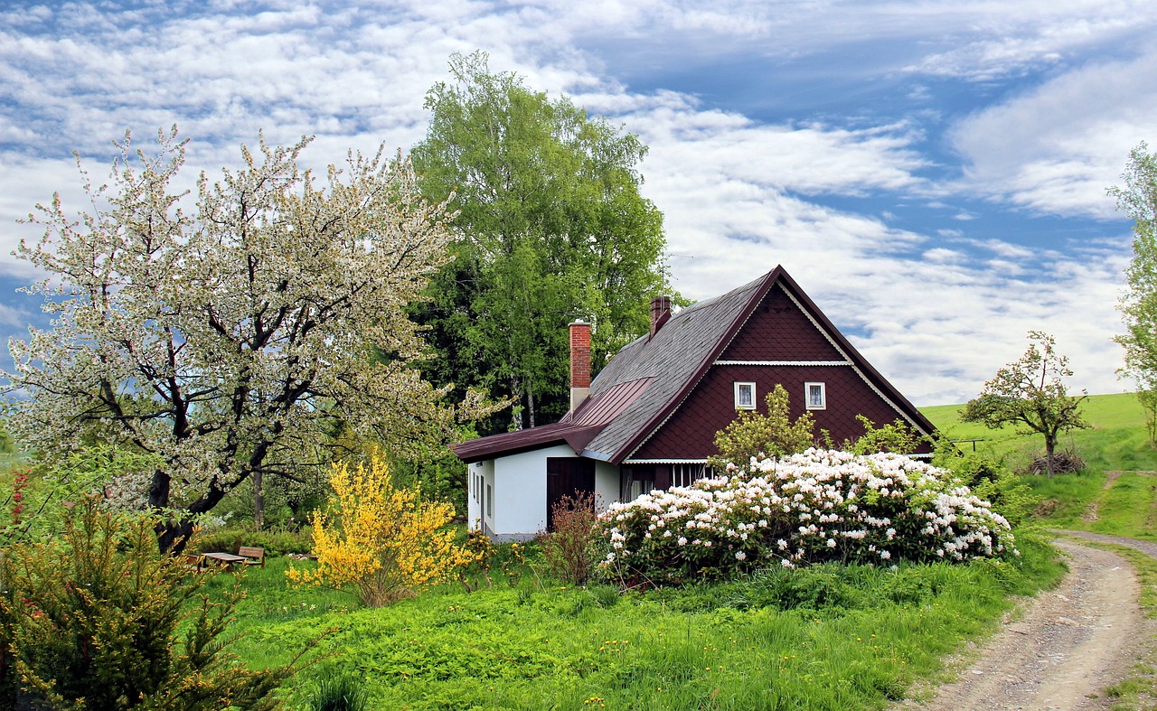 How to Use Smart Tech to Make Your Home More Accessible